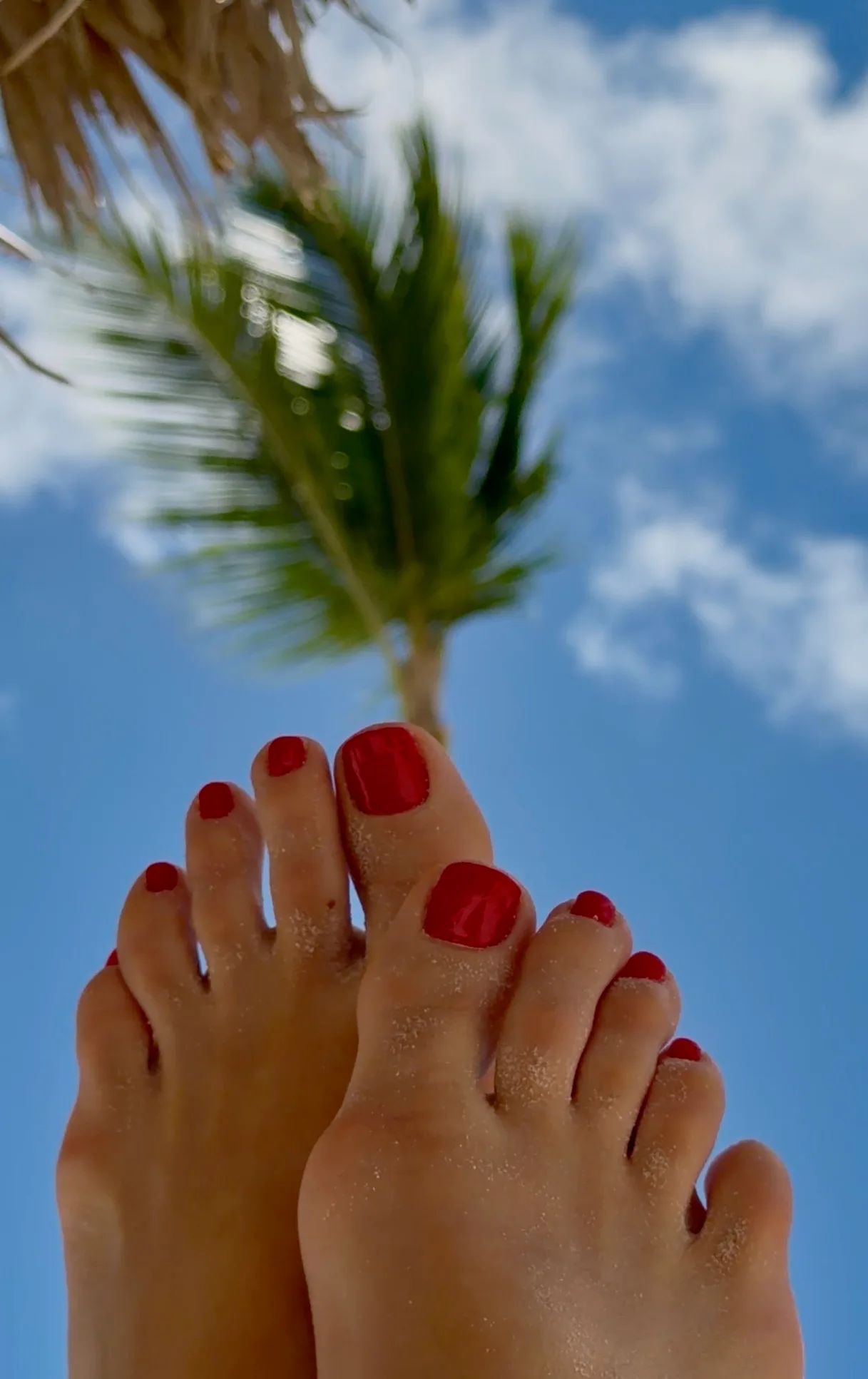 Glossy red pedicure against blue sky and palm fronds.